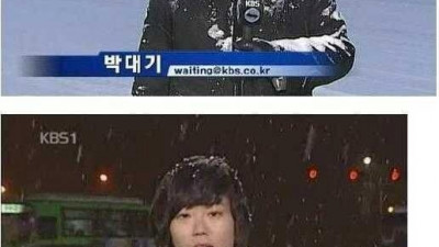 KBS 기자들 특징