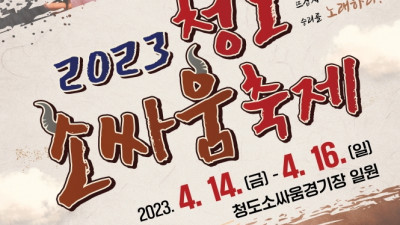 천년의 역사를 이어 내려온 '청도소싸움 축제'