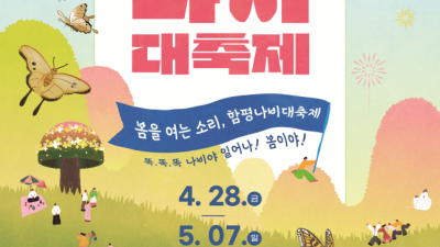 봄을 여는 소리, 함평나비대축제