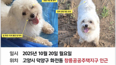 집 나간 개는 반드시 찾는다. 반려동물 사랑 넘쳐 가족이 된 배경에는 주저않고 말한다 사랑