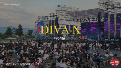 DIVA_X 2026 Start Plan