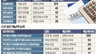 돈 돈 돈내 체납 개인과 법인 BLACK LIST
