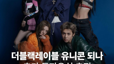 테디의 더블랙레이블, 추가 투자유치 추진…유니콘 등극 임박