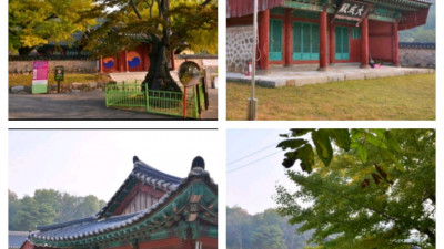 주말에 꼭 가볼만 한 곳 적극 강추 핫 플레이스 양주 향교